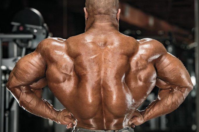 A Detailed Guide To Using Steroids To Get Bigger And Stronger Muscles